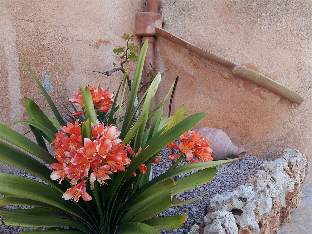 Agroturisme Es Picot Son Macia  Exterior photo
